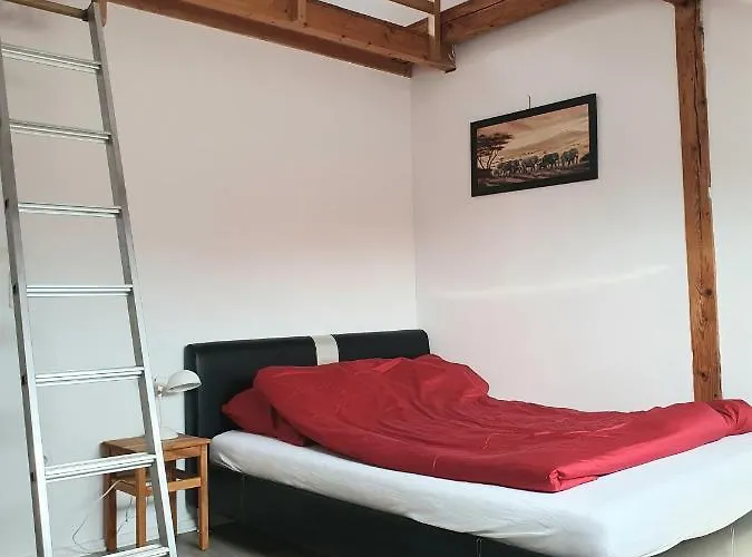 Helle, Moderne Altbauwohnung In Zentrumsnaehe